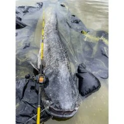 Black Cat Cast 301LH Reel -Spro Voor Visgerei Winkel 4017421Black Cat Cast 301LH Reel 6