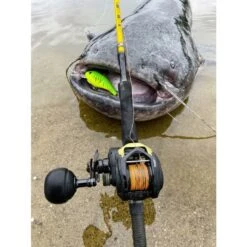 Black Cat Cast 301LH Reel -Spro Voor Visgerei Winkel 4017422Black Cat Cast 301LH Reel 7