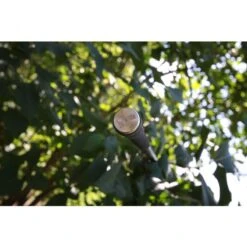 Nash Entity 12ft 3.00lbs Full Shrink -Spro Voor Visgerei Winkel 4324471Nash Entity 12ft 3 00lbs Full Shrink 2